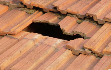 roof repair Ashill